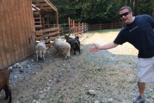 Brenthaven volunteering - having fun